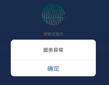 12123服务异常是什么意思，怎么解决