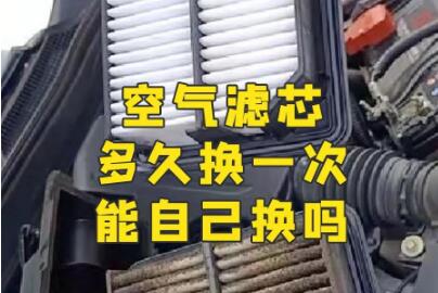 空气滤芯和空调滤芯的区别多久换一次
