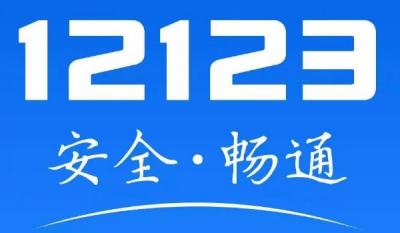 12123车辆型号搜不出来