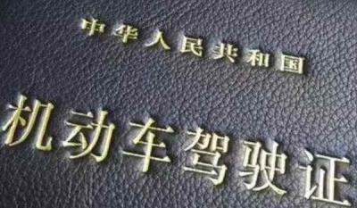 如何查询驾驶证状态