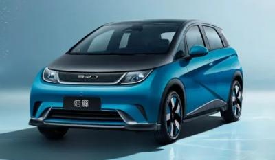 比亚迪海豚纯电动2021款价 全款最低10.9万（贷款三年首付3.7万）