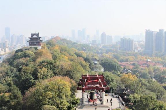 深圳到武汉搬家价格(武汉搬家什么价格)