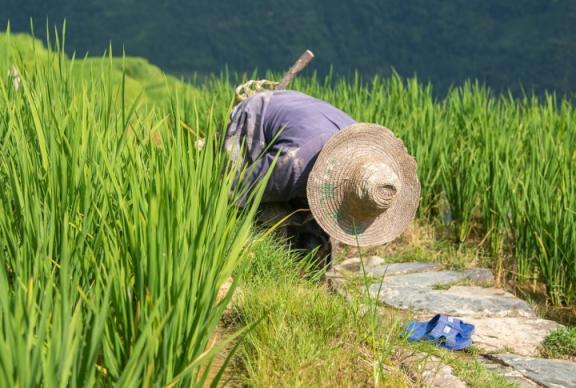 桂林二手车国几标准（桂林二手车迁入排放标准）