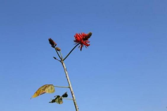 揭阳二手车限迁解除-揭阳市二手车迁入规定