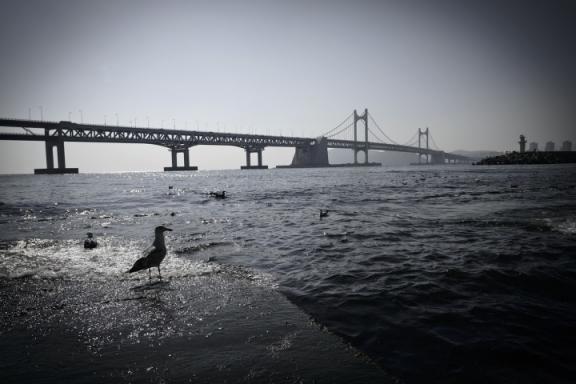 兰海高速广元段封路（兰海高速广元段什么时候通车）