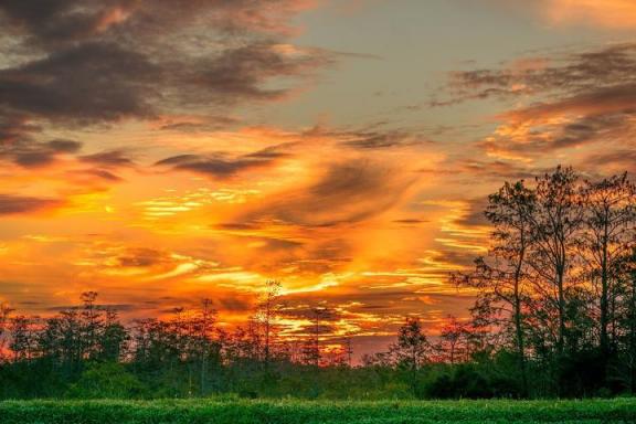 上海优宜二手车-优歆上海二手车是优信么