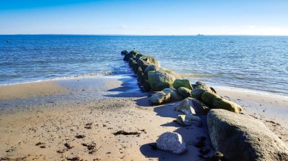 阳新高速规划图周口段（阳新高速河南段最新消息）