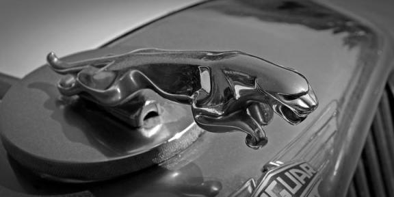 路虎发现5氛围灯（路虎发现5有没有氛围灯）