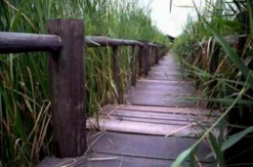 新乡二手车宝骏510-新乡二手车宝骏730