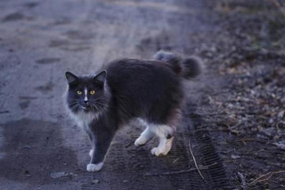 宝马防爆胎扎了怎么办？