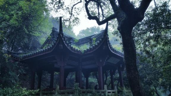 杭州开车到深圳经过哪些城市？