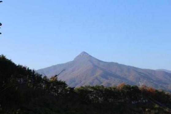 大余二手车在线交易-余干县二手车交易市场