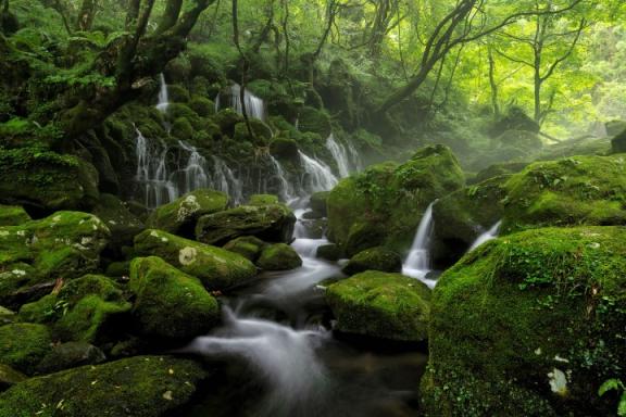 双球节弹簧减震支柱和多连杆哪个好（双节球弹簧减震支柱悬架）