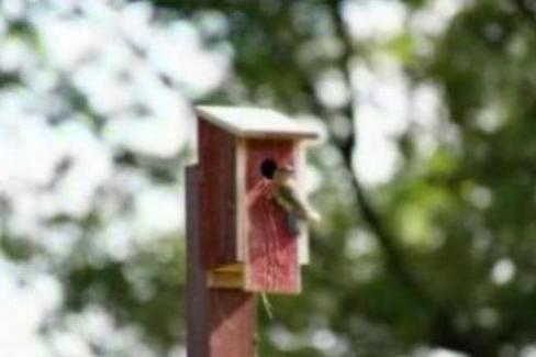 14代轩逸配置表情况（14代轩逸配置介绍）