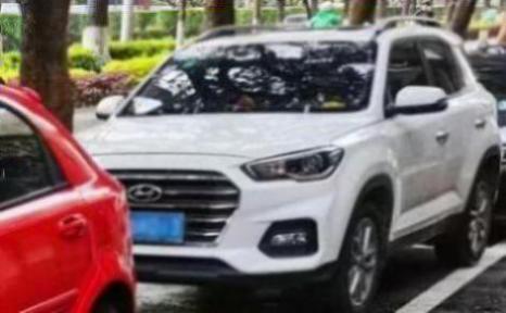 新雅尊属于什么车型