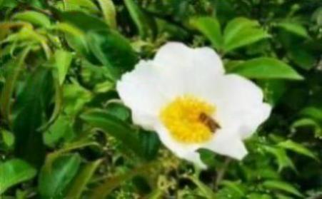 58二手房房源出租(58同城高淳二手房出租)