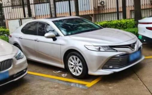 什么车性价比最高又省油